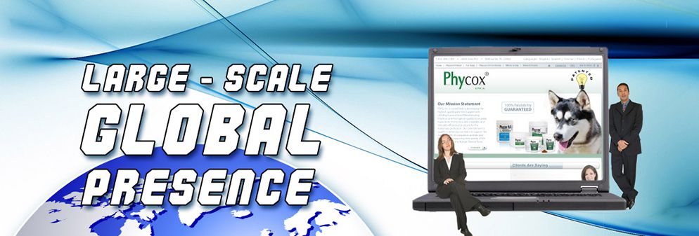 Large Scale Global Presence